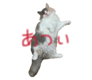 859228714
