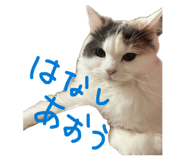 859228716