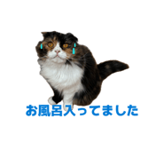 859228719