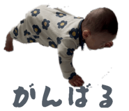 859229251