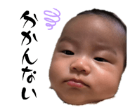 859229254