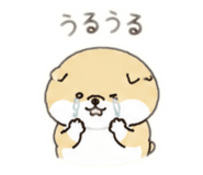859229495
