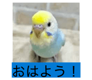 859229548