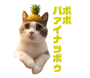 859229569