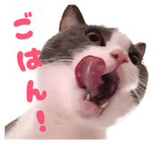 859229574