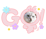 859229723