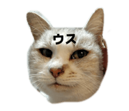 859229737