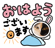 859229751