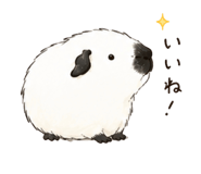 859230050