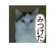 859230060