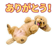 859230102