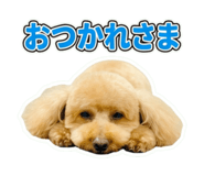 859230103