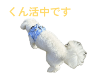 859231817