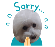 859232018