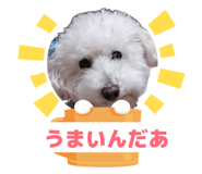 859232020