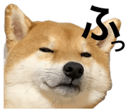 859232617