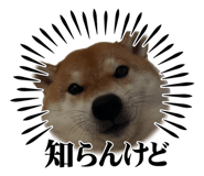 859232622