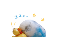 859232633