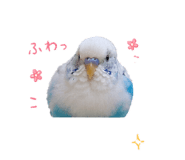 859232634