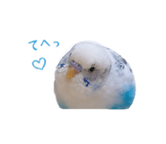 859232641