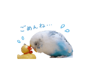 859232643