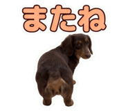 859233029