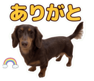 859233030
