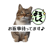 859233225