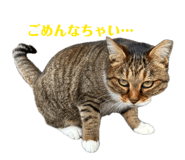 859233226