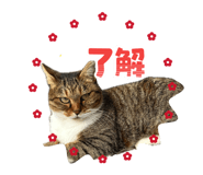 859233232