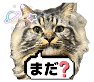 859233531