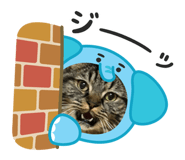 859233540