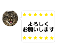 859233541
