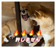 859234904