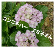 859235154