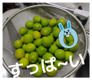 859235156