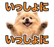 859235219