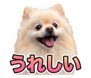 859235224