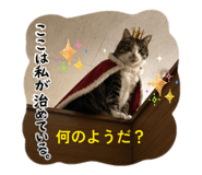 859235731