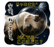 859235734