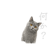859235944