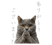 859235954