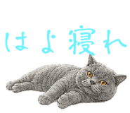 859235959