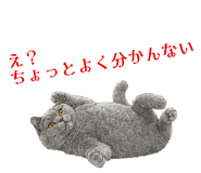859235961