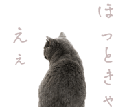 859235963