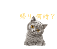859235975