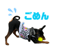 859236195