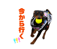 859236197