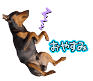859236200