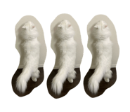859243412